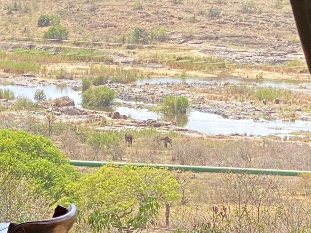 Croc River Lodge Komatipoort Luaran gambar